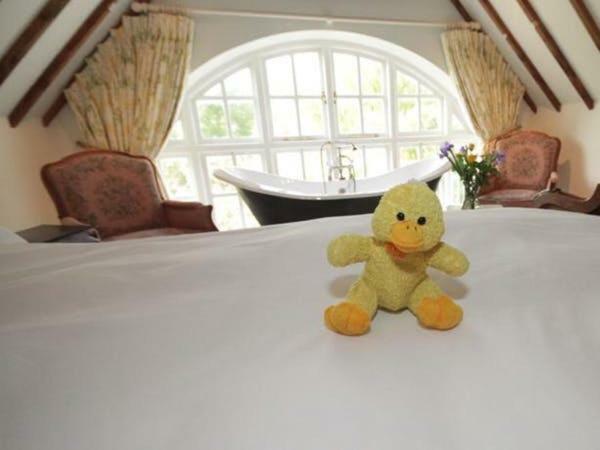 Cherry Orchard Farm South Wraxall Buitenkant foto